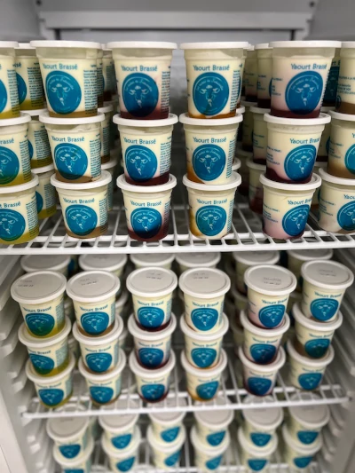 Frigo